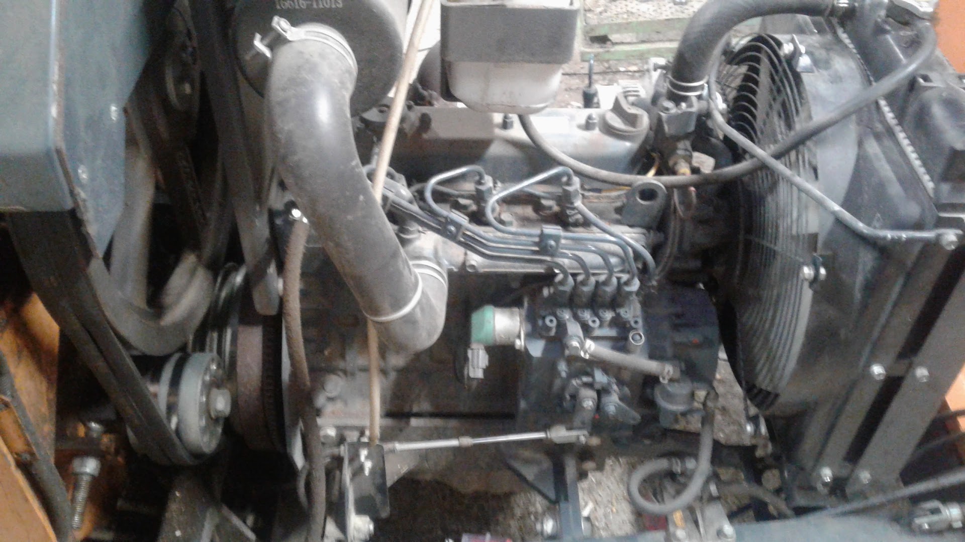 js small plant technician — Photos 4